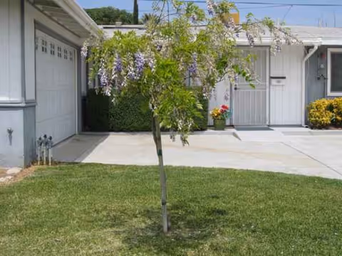 Exterior view of a senior living facility with a flowering tree and driveway.