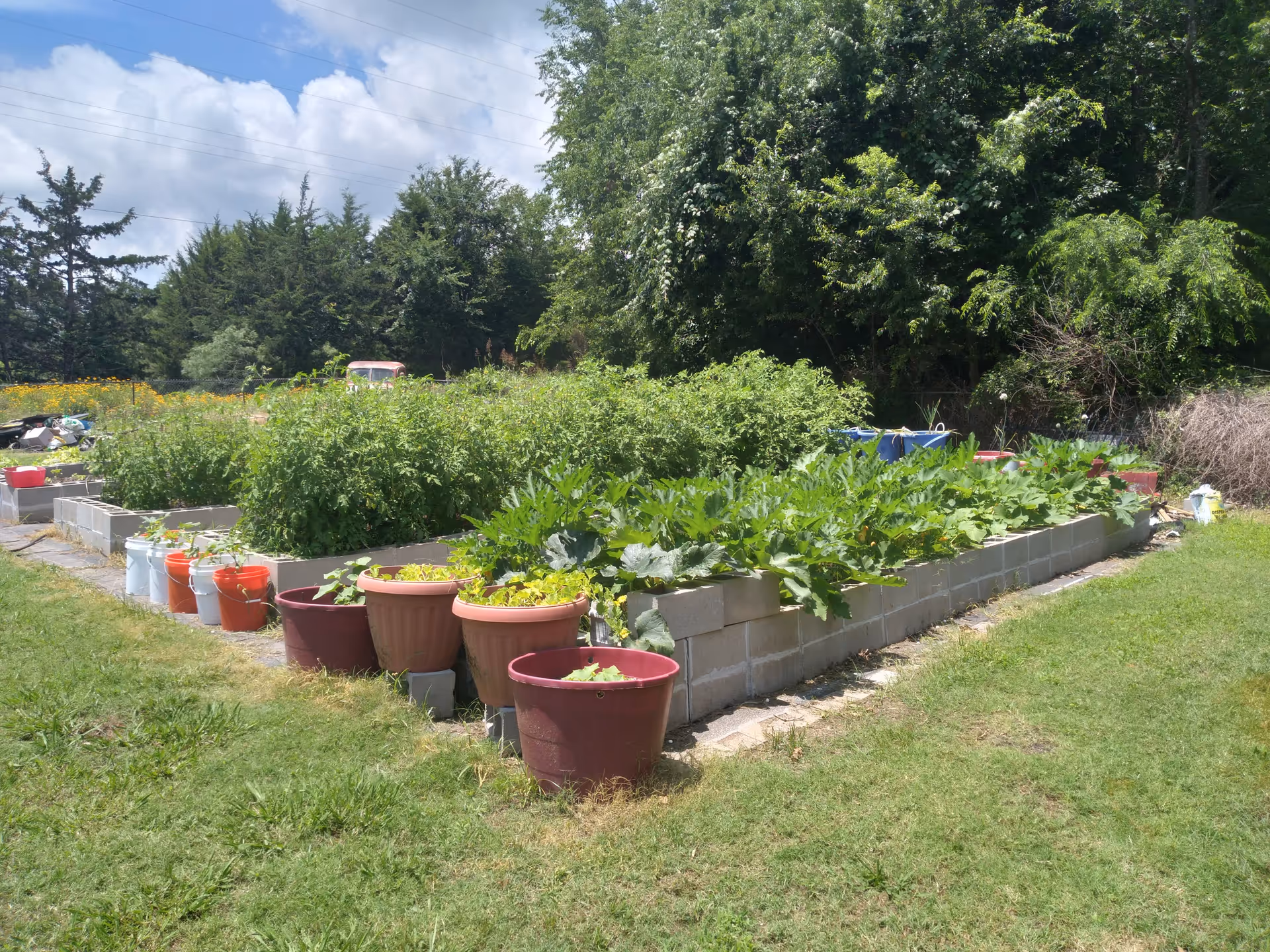 A raised garden bed filled with various green plants and vegetables, surrounded by potted plants in different colored containers. The garden is outdoors with trees and a partly cloudy sky in the background.