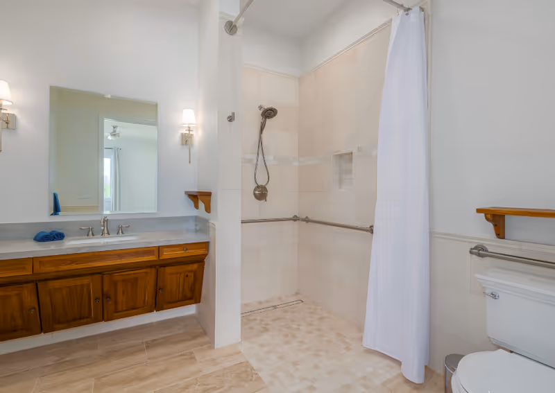 Bright bathroom with a walk-in tiled shower with grab bars, wooden vanity and mirror, and a toilet.