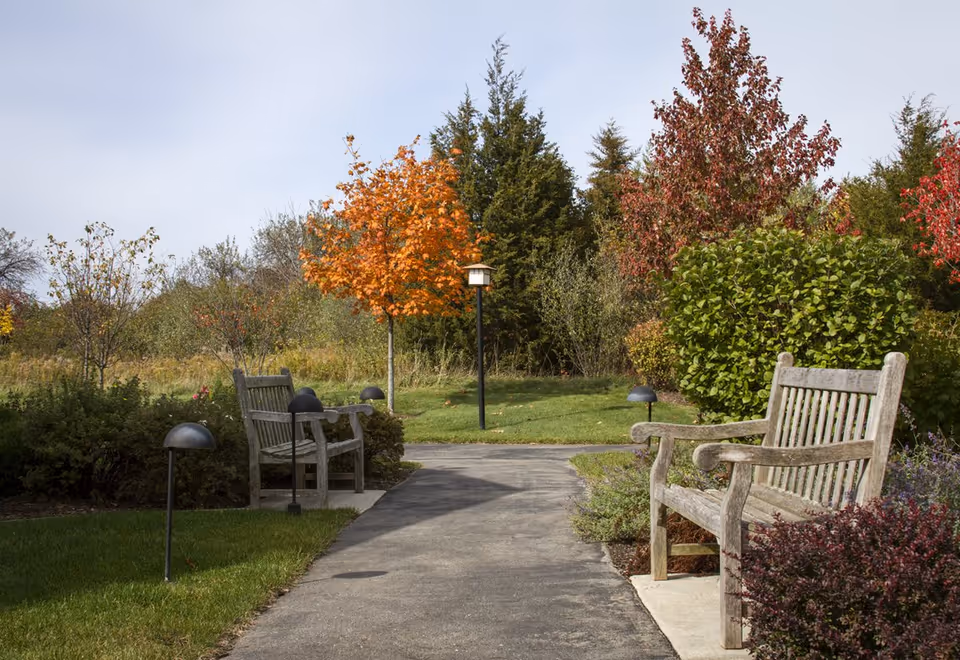 A peaceful outdoor garden area with a paved walkway flanked by wooden benches and small black garden lights. Trees with autumn-colored leaves and green shrubs surround the path under a clear sky.