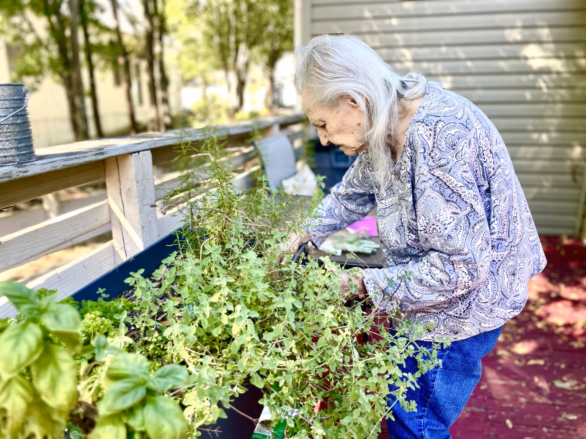 An elderly woman tending to a raised garden bed filled with various green plants on a wooden deck outside a building.