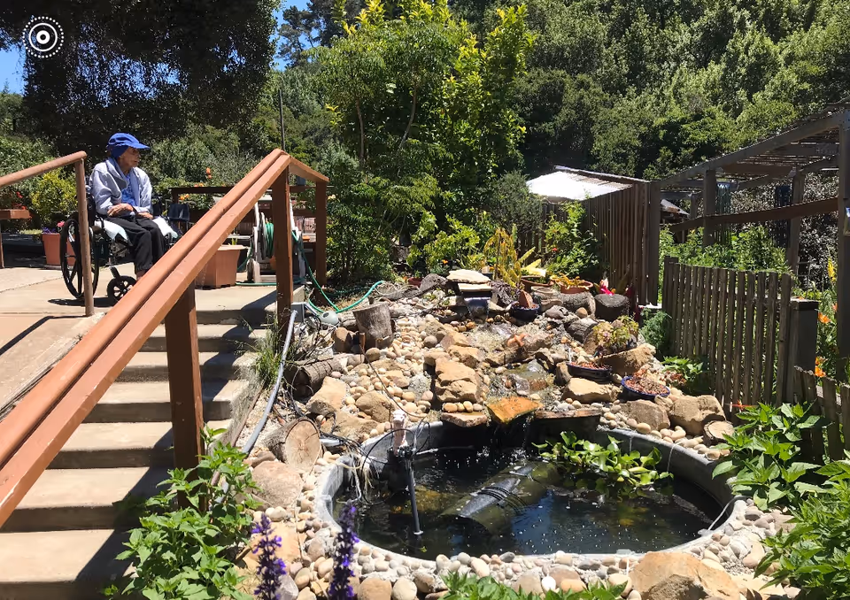An elderly person in a wheelchair wearing a blue hat and light jacket is sitting outdoors near a small landscaped water feature with rocks, plants, and a small pond. The area is surrounded by greenery, trees, and wooden fencing under a clear blue sky.