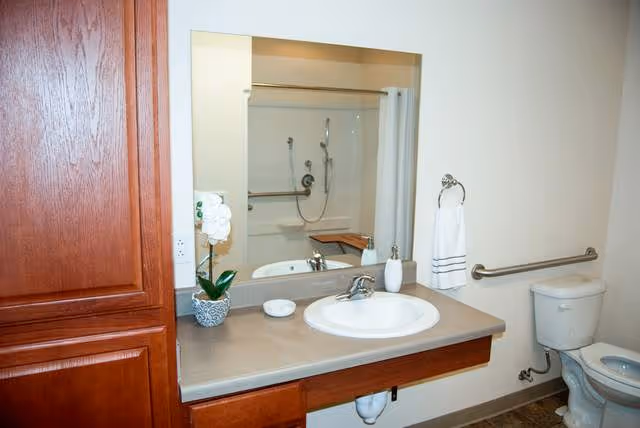 A clean bathroom with a wooden cabinet on the left, a countertop with a sink, a small potted orchid, soap dish, and soap dispenser. A large mirror is mounted above the sink. To the right, there is a toilet with a grab bar on the wall and a towel ring holding a white towel. In the mirror's reflection, a shower with a handheld showerhead and a fold-down seat is visible.