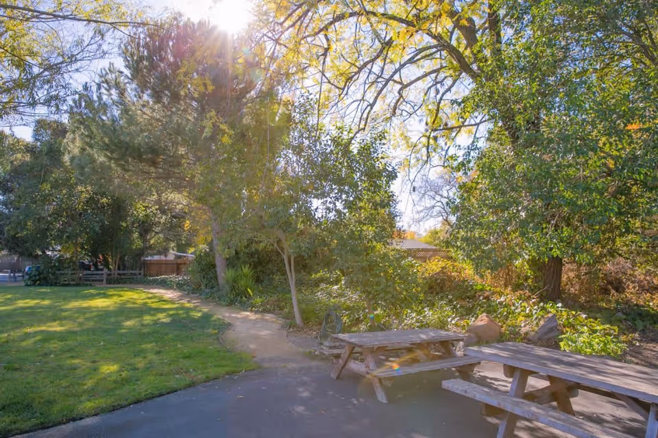 Sunlit outdoor area with green grass, trees, and two wooden picnic tables on a paved surface. A dirt path curves through the greenery, and the sun shines brightly through the tree branches.