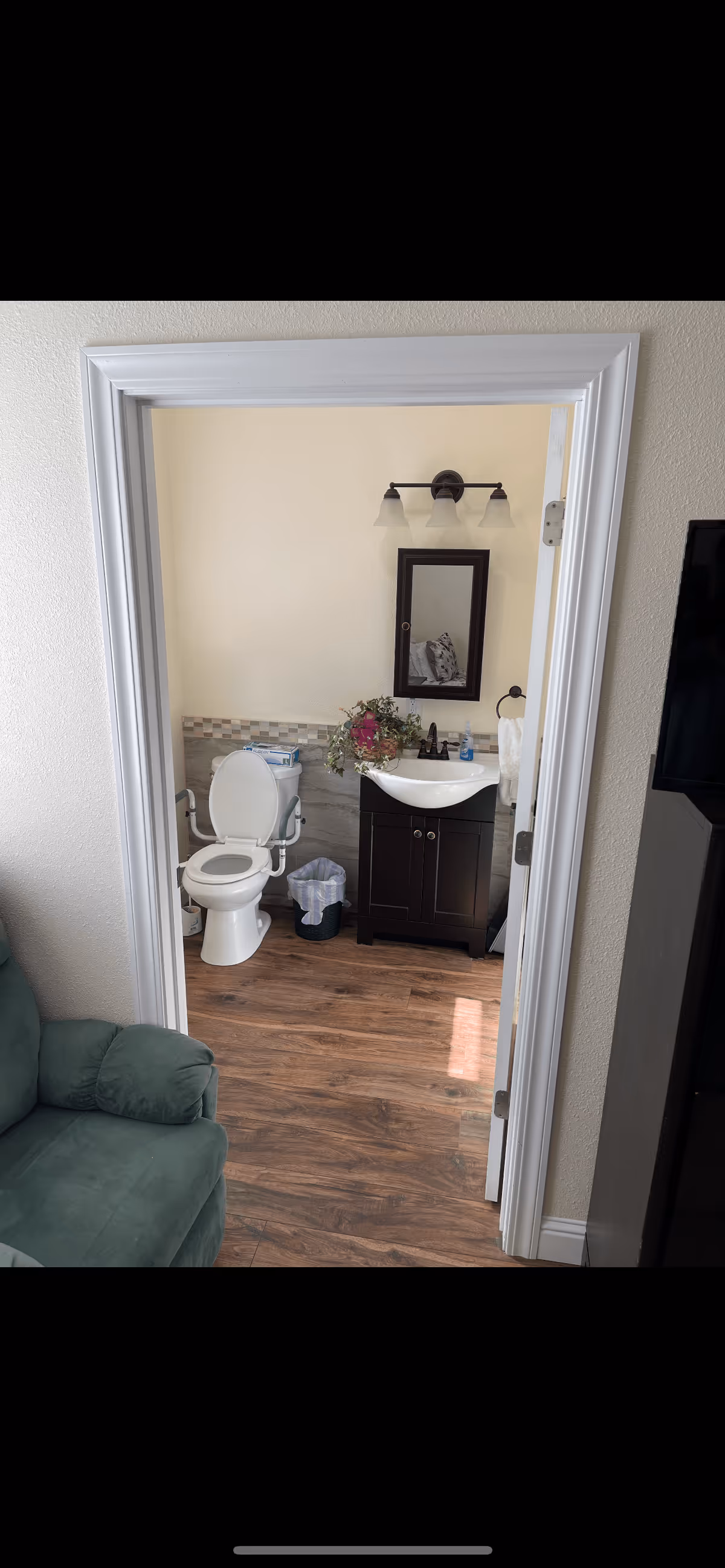 View through a doorway into a small bathroom with a toilet equipped with armrests, a dark wood vanity with a white sink, a mirror above the sink, a wall-mounted light fixture with three lights, a small trash bin, and a decorative plant on the vanity. Part of a green armchair and a TV on a stand are visible outside the bathroom.