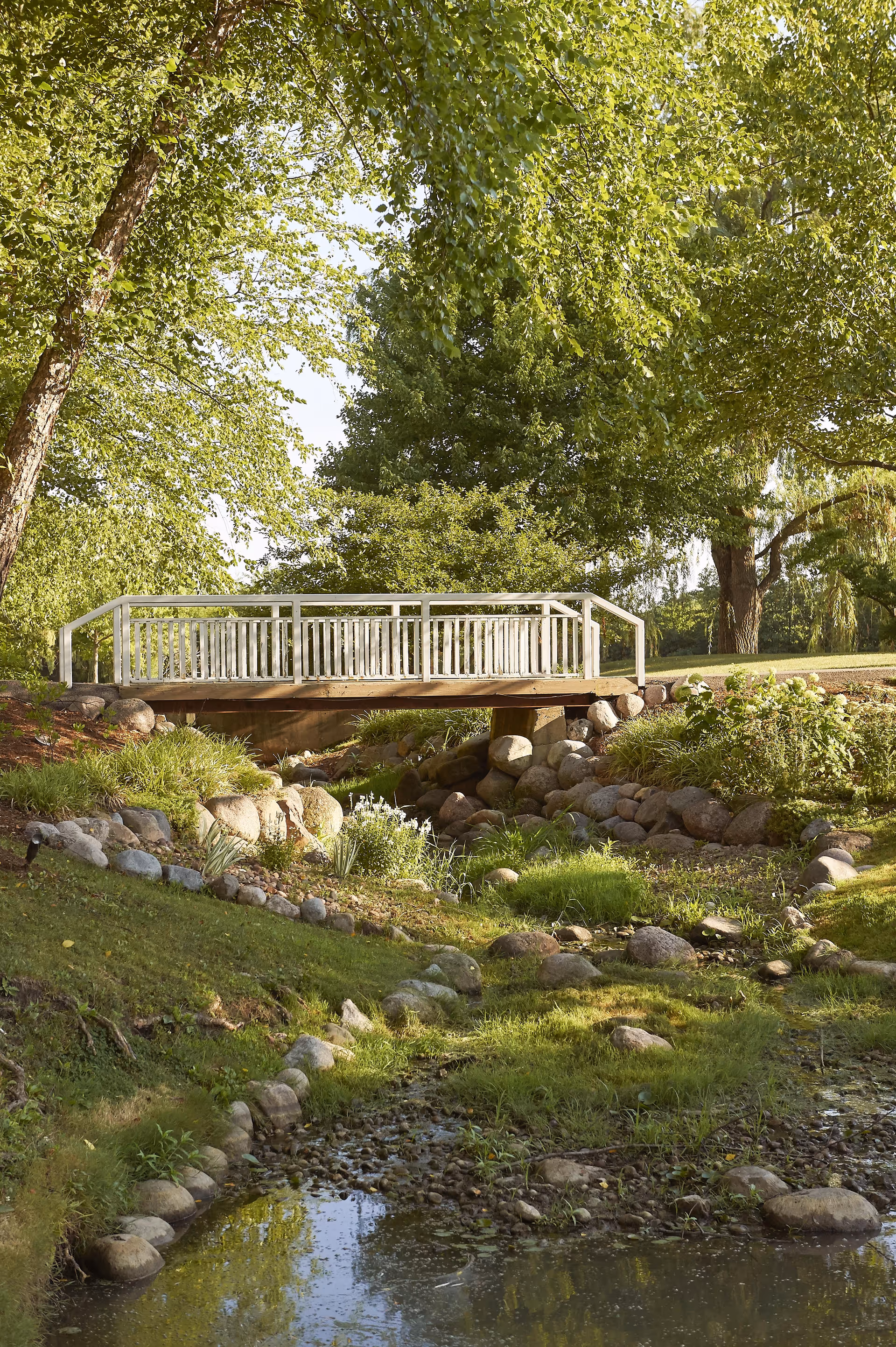 A white wooden footbridge spans a rocky creek in a sunlit park-like setting with trees and green grass.