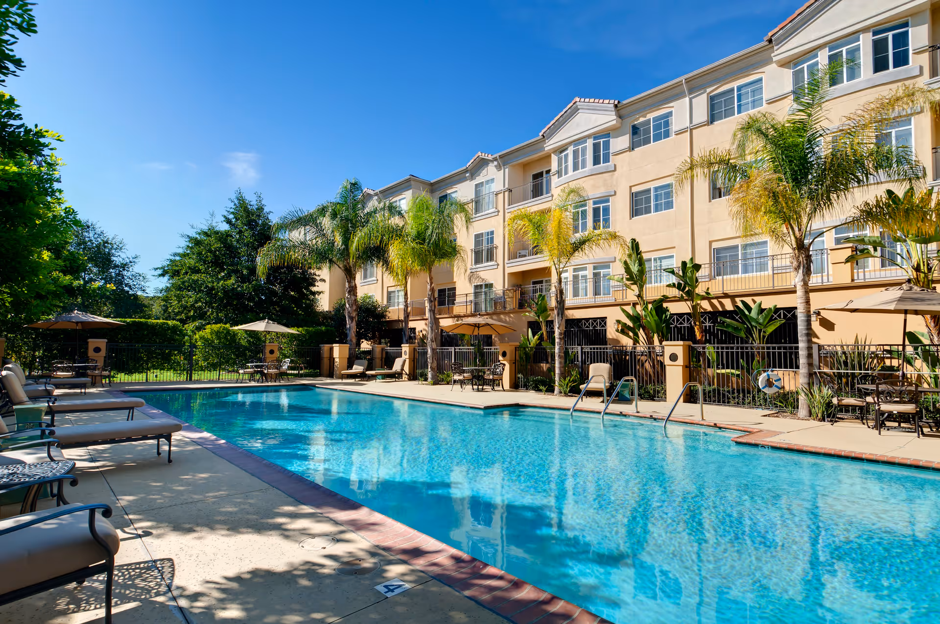 Outdoor swimming pool area at The Village at Sherman Oaks with lounge chairs, umbrellas, palm trees, and a multi-story residential building in the background under a clear blue sky.
