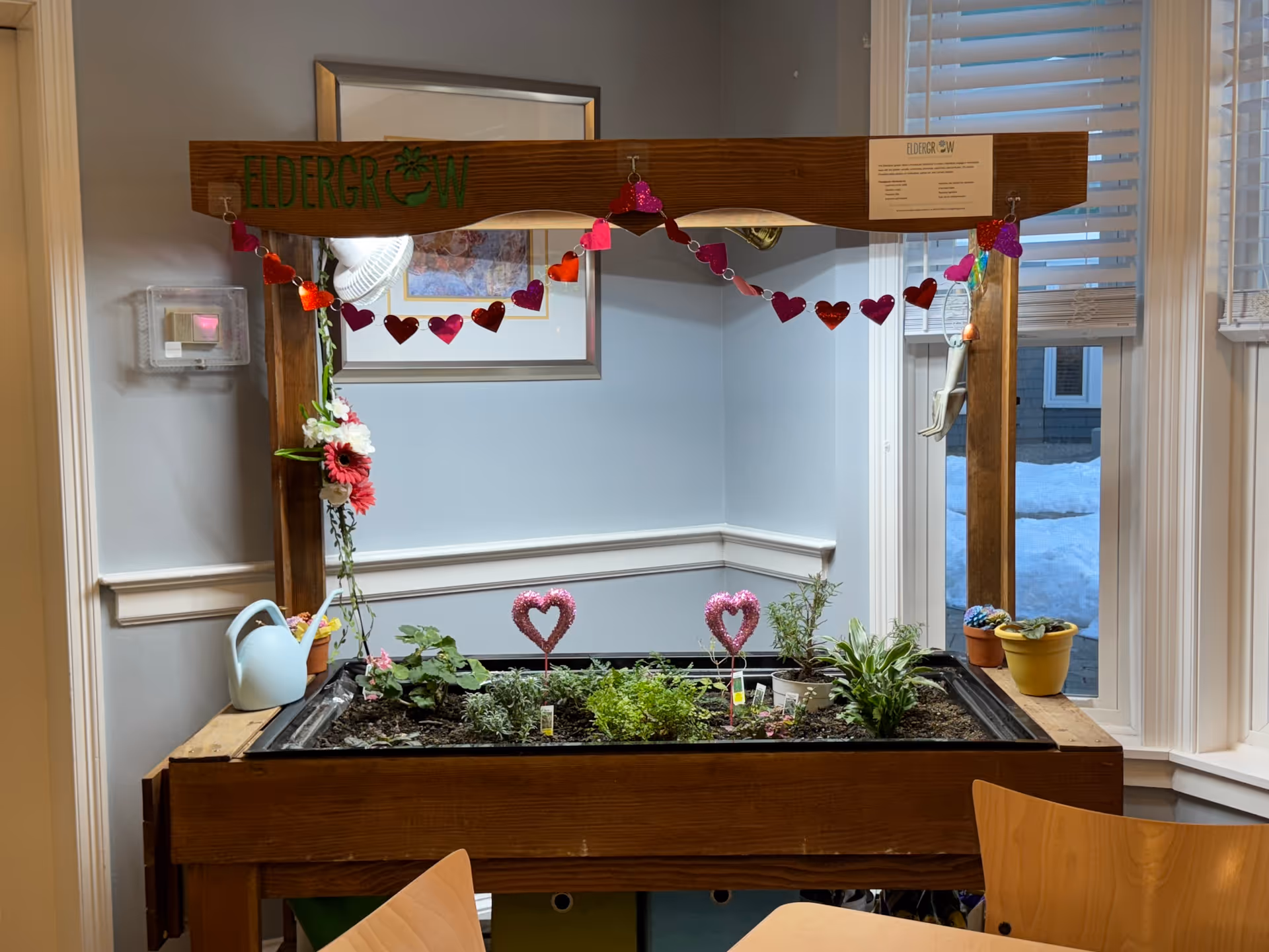 Raised indoor planter labeled 'ELDERGROW' decorated with heart garlands and small plants in a bright room with windows and chairs.