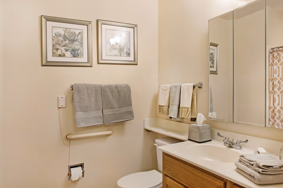 A clean bathroom with beige walls featuring two framed floral paintings above a towel rack holding two gray towels. Below the towel rack is a grab bar and a toilet paper holder with a roll of toilet paper. To the right is a white toilet with a tissue box on the tank, a countertop with a sink, a faucet, and a stack of folded towels. A large mirror is mounted above the sink, reflecting part of the bathroom including a patterned shower curtain.