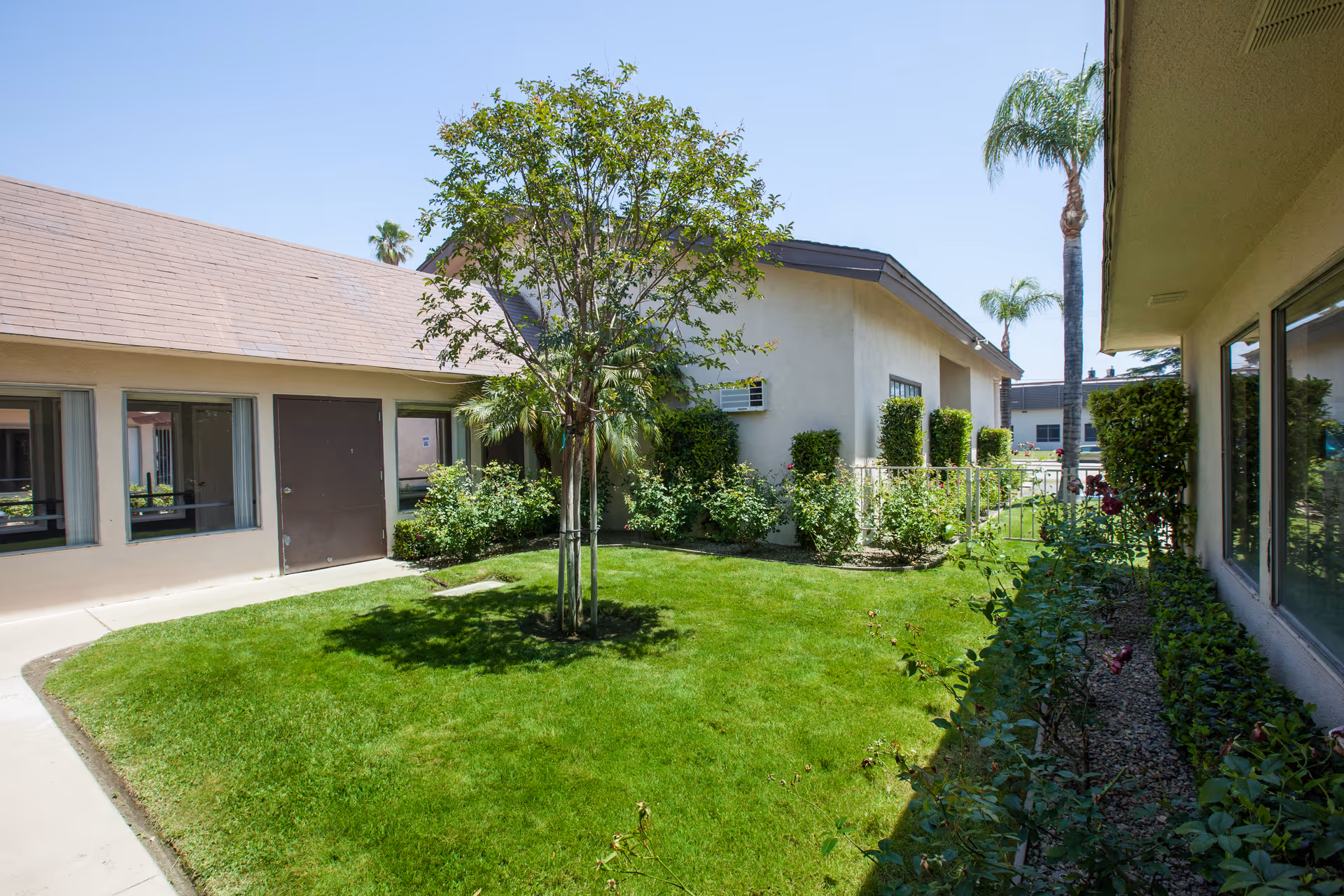 A sunny outdoor courtyard area at Citrus Nursing Center featuring a well-maintained green lawn, a small tree in the center, bushes along the building walls, and palm trees in the background. The courtyard is surrounded by single-story beige buildings with windows and doors.