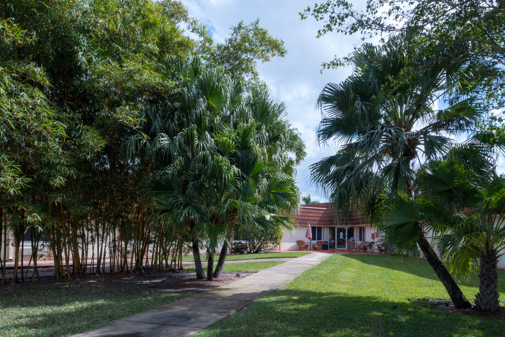 A paved walkway leads through a grassy area with palm trees and bamboo plants towards a single-story building with a red-tiled roof and outdoor seating visible near the entrance under a partly cloudy sky.