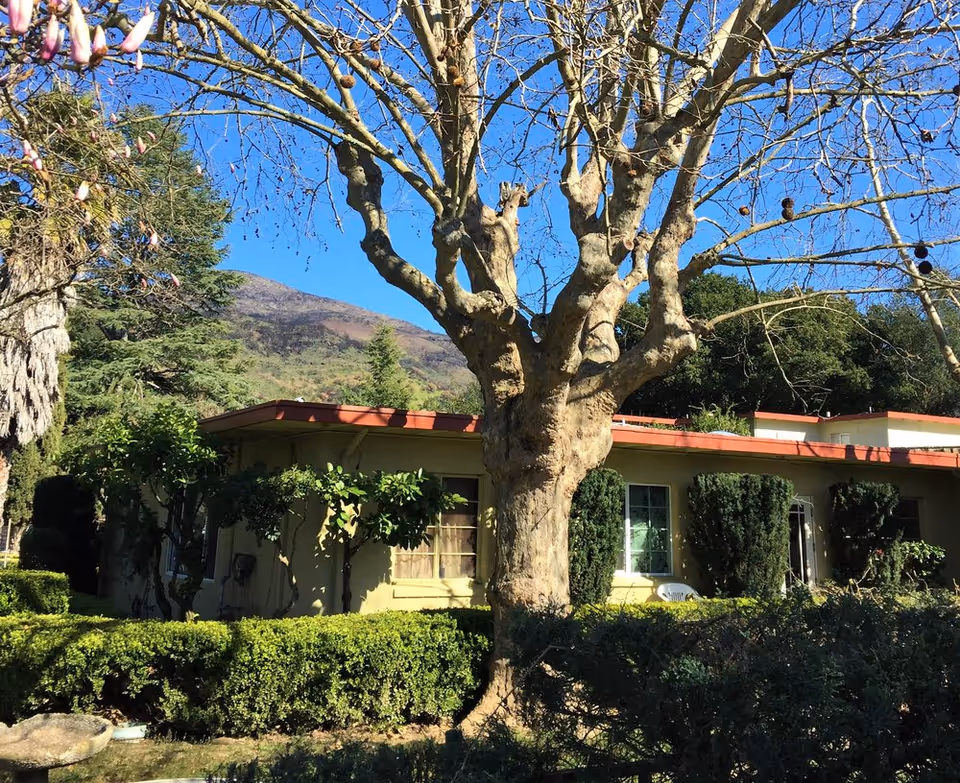 Exterior view of a single-story retirement home building with a red roof, surrounded by trimmed bushes and trees, including a large tree with bare branches in the foreground. In the background, there are green trees and a mountain under a clear blue sky.