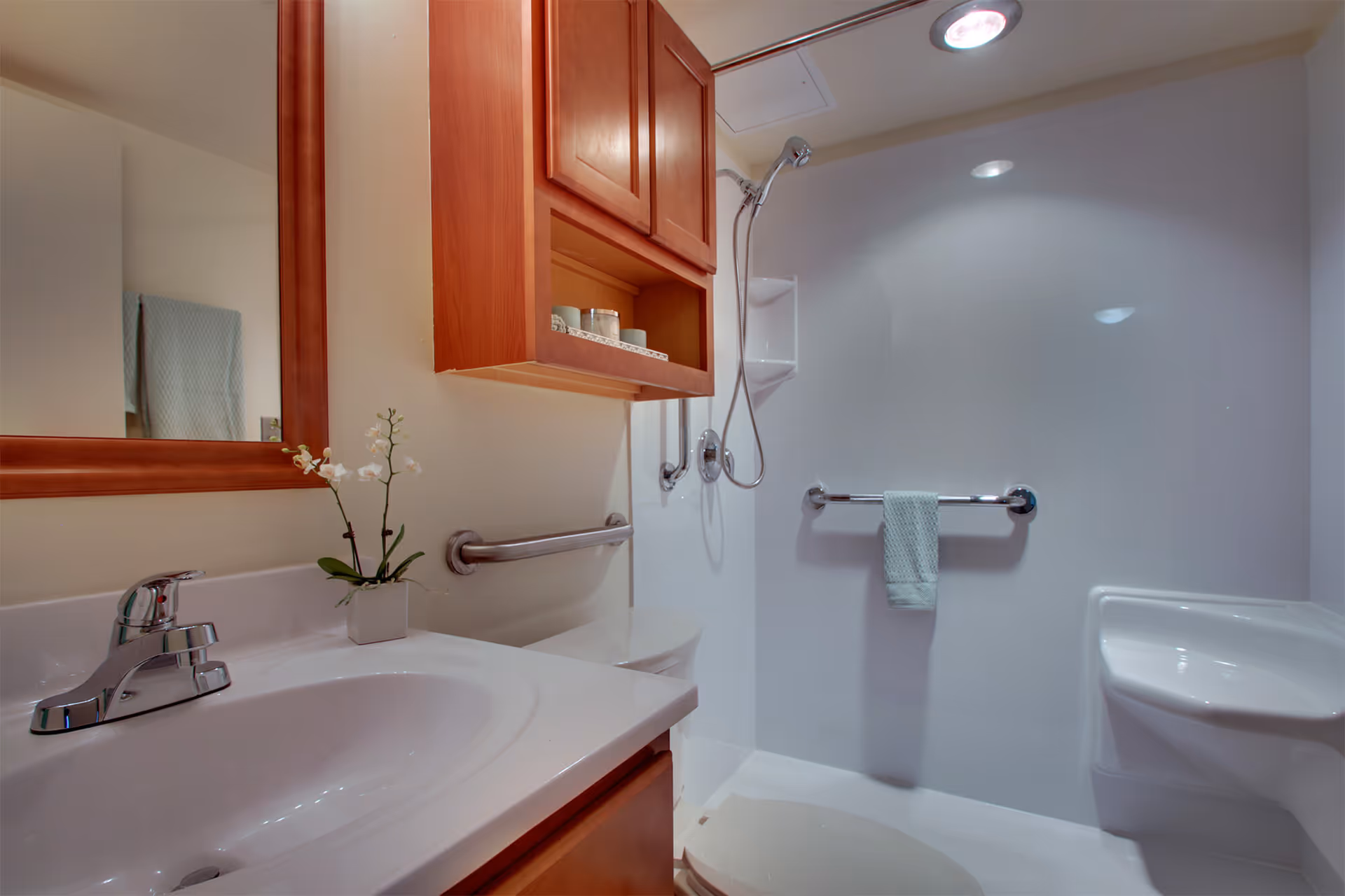 A clean and modern bathroom featuring a white sink with a chrome faucet, a wooden framed mirror, a small potted orchid on the counter, a wooden cabinet mounted on the wall, and a walk-in shower with grab bars and a handheld showerhead. A light blue towel hangs on one of the grab bars.