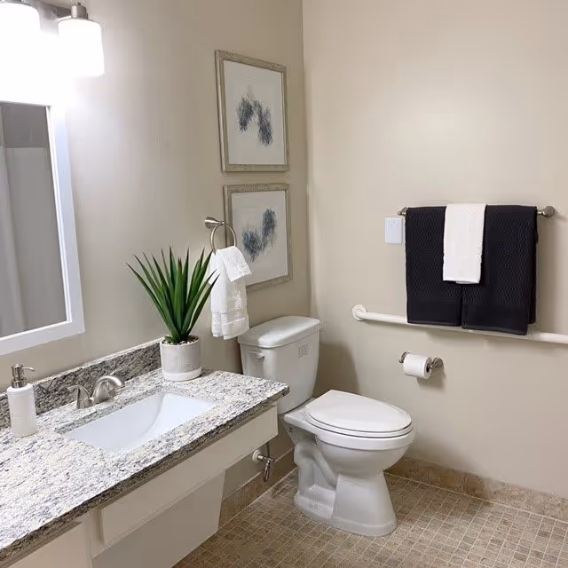 A clean and modern bathroom featuring a white toilet, a granite countertop with a built-in sink, a soap dispenser, a potted plant, and a mirror with a light fixture above it. Two framed artworks hang on the wall above the toilet. A towel ring with a white hand towel is mounted near the sink, and a towel bar with black and white towels is on the adjacent wall. The floor is tiled in a neutral color.