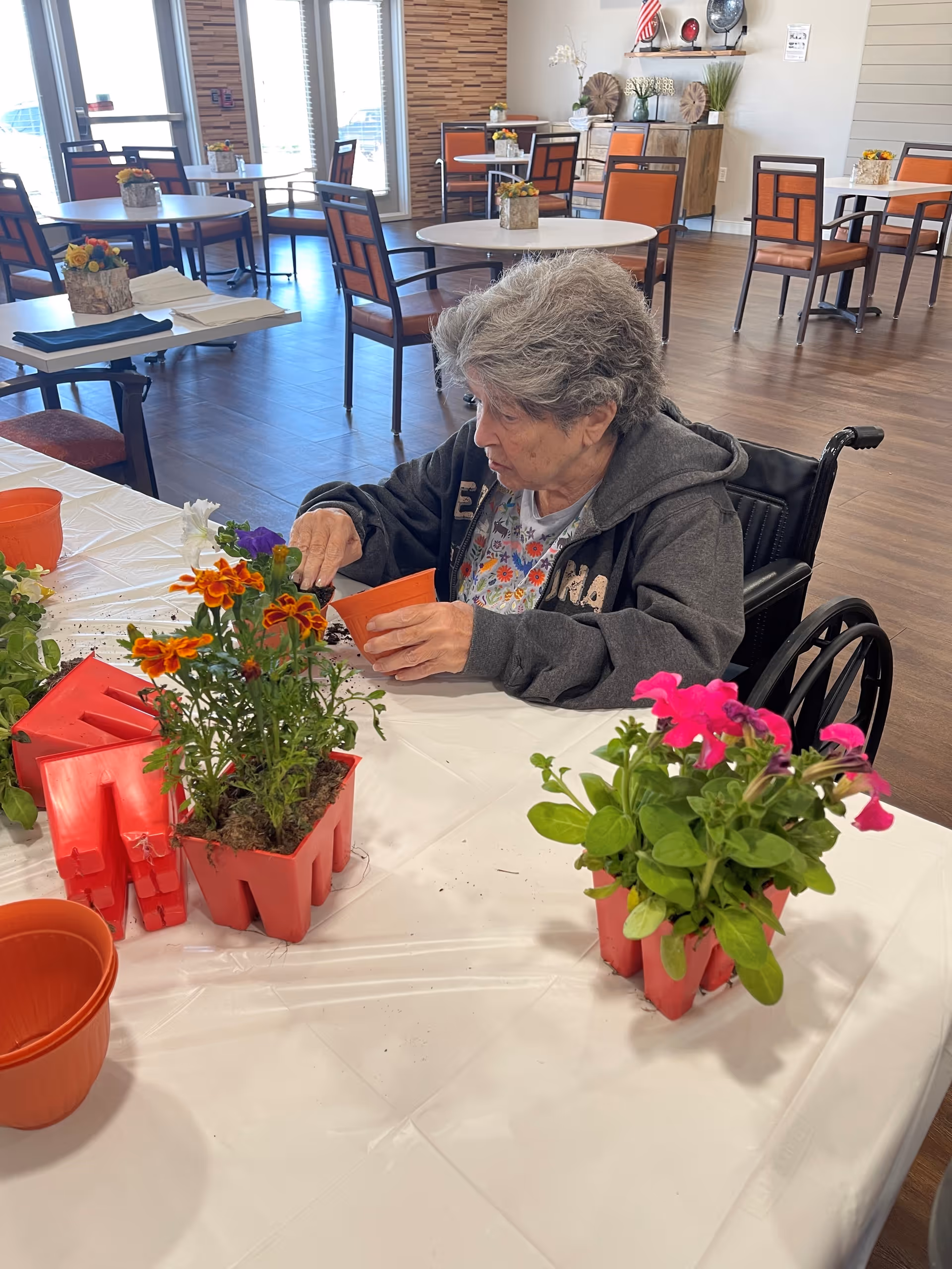 An elderly woman in a wheelchair is potting flowers at a table covered with a white plastic tablecloth. Several small flower pots with colorful flowers are on the table. The room is spacious with wooden flooring, round tables, and chairs arranged around the room. There is a decorative cabinet and wall decor in the background.