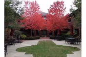Courtyard with bright red-leaved trees, a central lawn and patio tables in front of a brick senior living building.