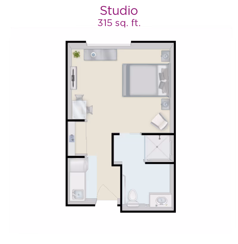 Top-down floor plan of a 315 sq. ft. studio apartment showing a bed, seating area, kitchenette, and a bathroom with shower and toilet.
