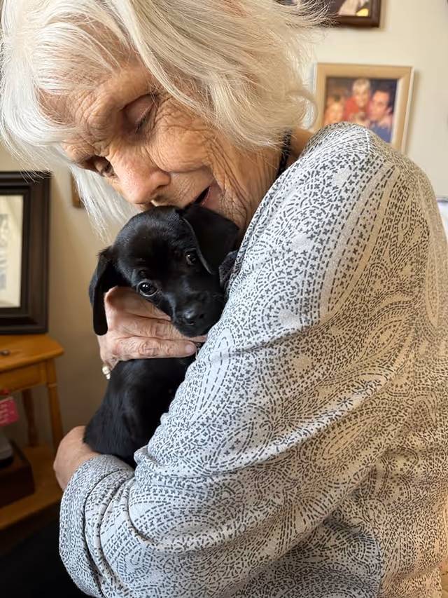 An elderly woman with white hair gently hugging a small black puppy indoors, with framed family photos and a wooden table in the background.