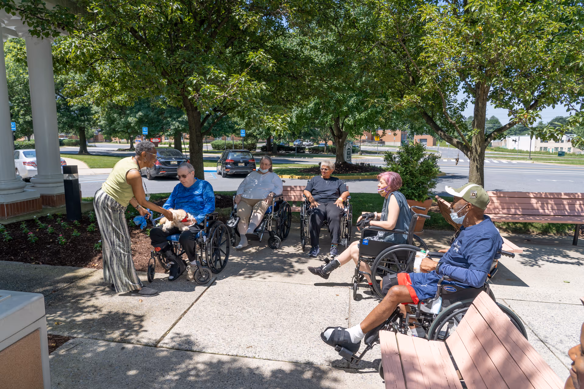 A group of elderly individuals, most in wheelchairs, sitting outside under the shade of trees on a sunny day. A woman is standing and interacting with one of the seated men, who is holding a small dog. There are benches and a parking lot with cars in the background.