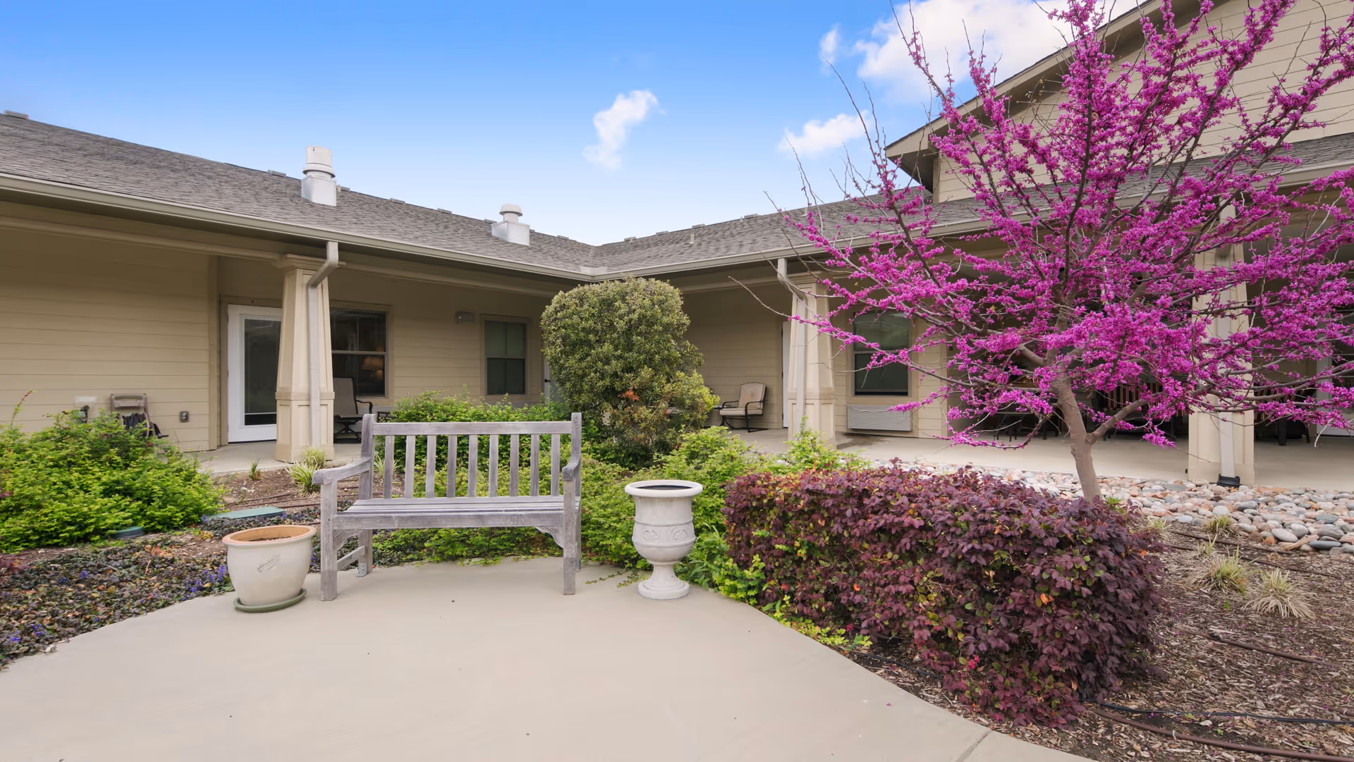 Outdoor courtyard area of River Oaks Assisted Living & Memory Care featuring a wooden bench, potted plants, a flowering tree with bright pink blossoms, and beige building walls with windows and a door under a clear blue sky.