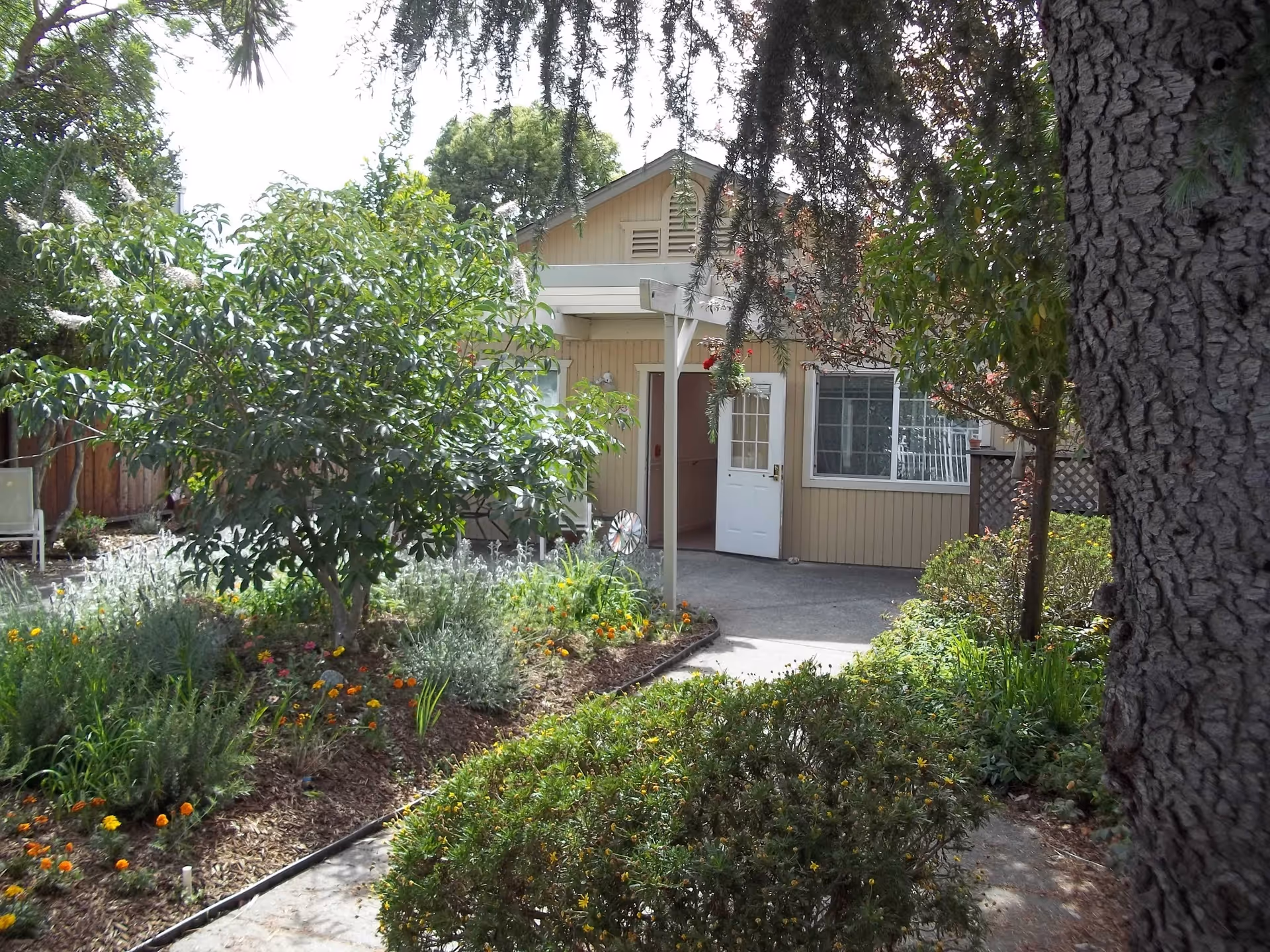 Front entrance of a small house with a walkway, garden beds and trees in the foreground.
