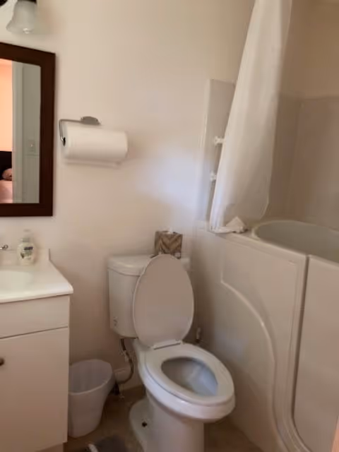 A small bathroom featuring a white toilet with the lid open, a white vanity with a sink and soap dispenser, a mirror above the sink, a wall-mounted toilet paper holder with a roll of toilet paper, a small trash bin on the floor, and a walk-in bathtub with a shower curtain.