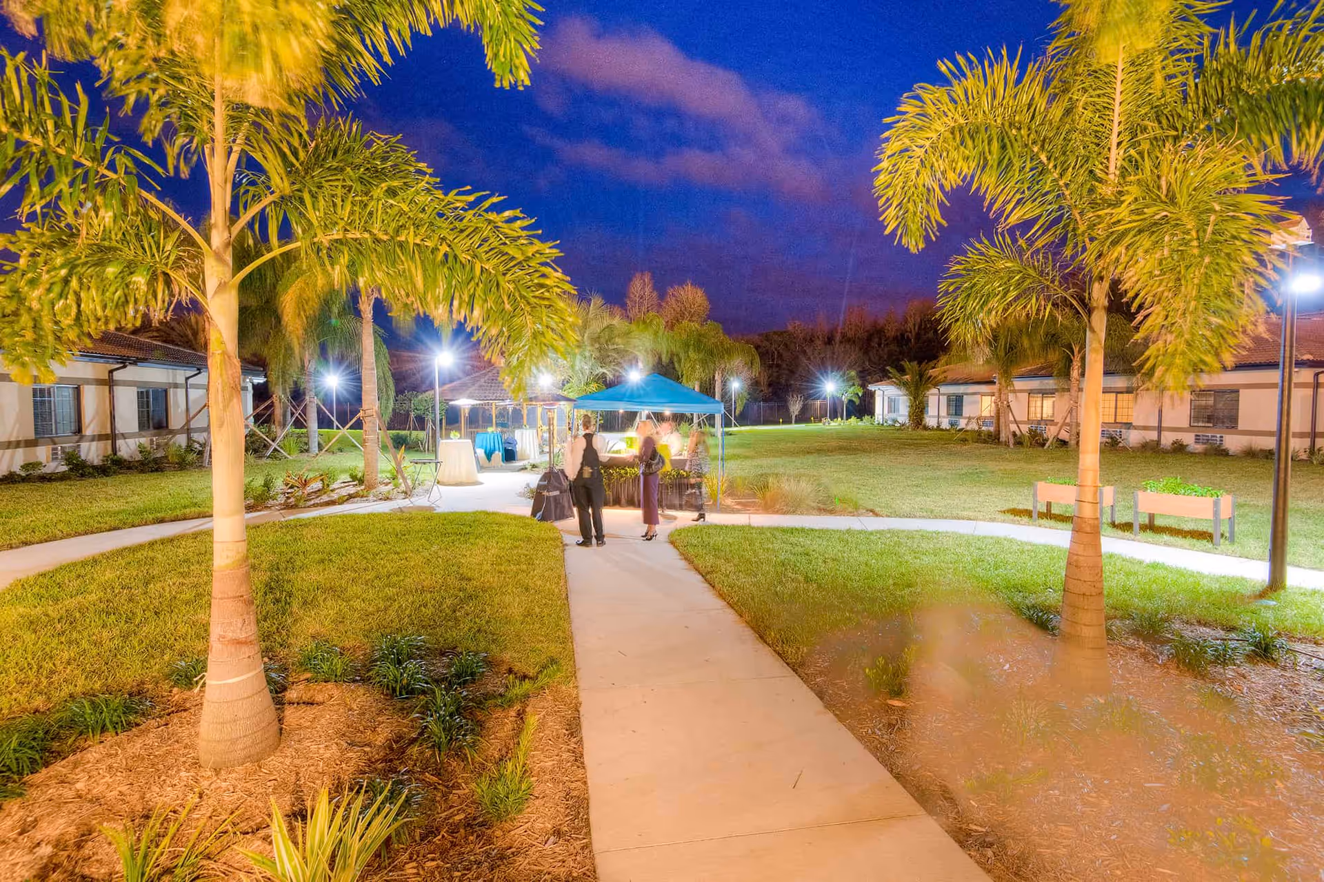 Nighttime courtyard with palm trees and a lit walkway leading to a small canopy where people are gathered between single-story buildings.
