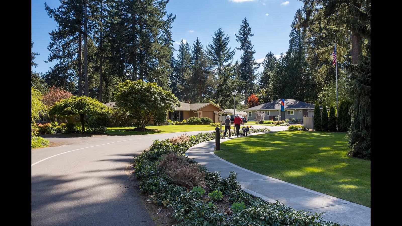 Paved road and curved sidewalk through a landscaped senior community with single-story homes, tall trees, and people walking a dog.