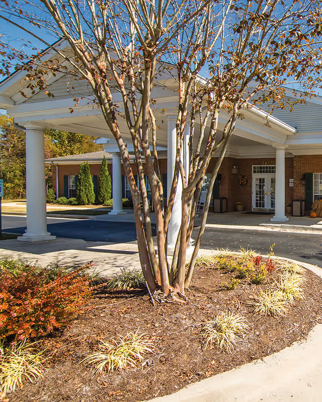 Entrance of Brookdale Hampton Cove senior living facility showing a covered driveway with white columns, a tree with bare branches in the foreground, and landscaped plants around the driveway under a clear blue sky.