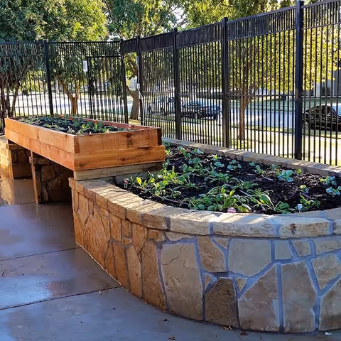 Raised garden beds with young plants growing in soil, situated on a paved outdoor area next to a black metal fence with trees and parked cars visible in the background.
