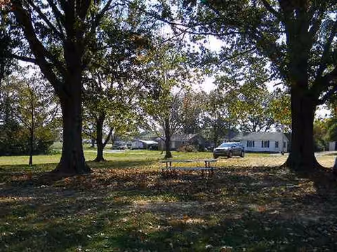 Sunlit yard with large trees, a bench, and a distant single-story building.
