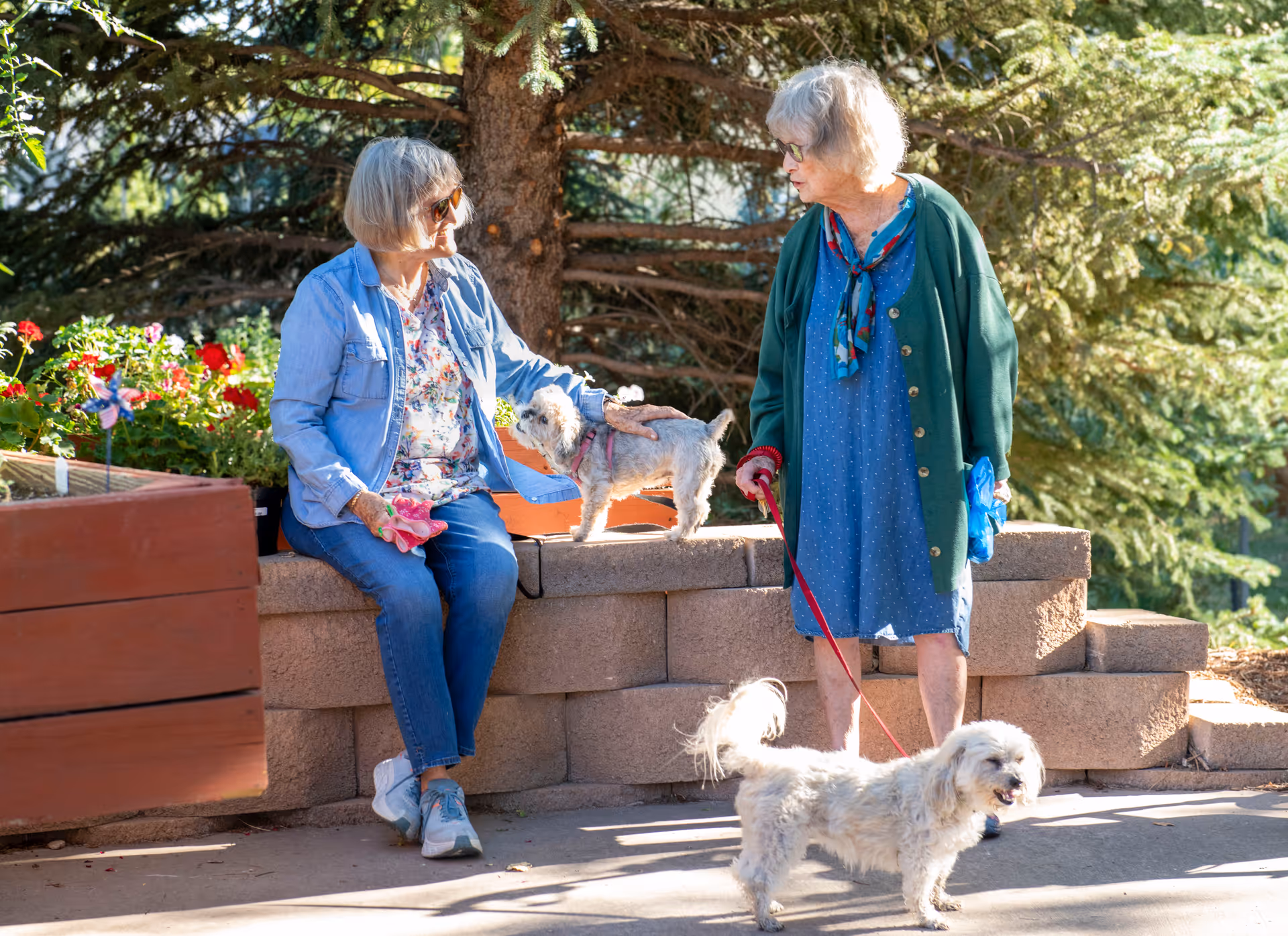 Two older women at a retirement community outdoor seating area, one sitting and petting a small dog while the other stands holding a leashed dog.