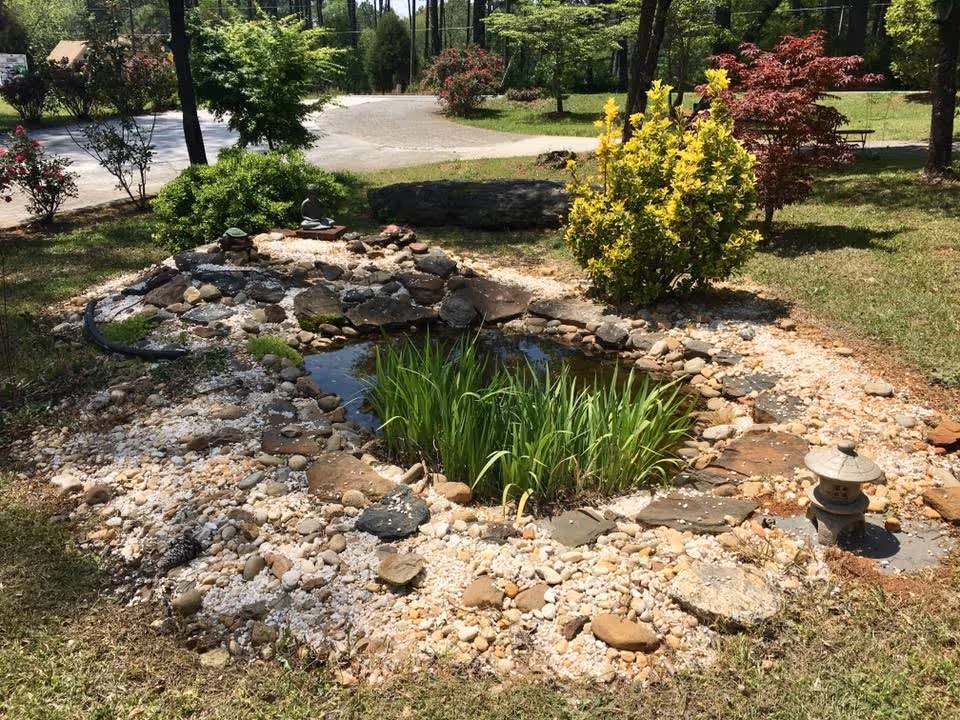 A small landscaped garden area featuring a pond surrounded by rocks and pebbles, with green plants growing in the water. There are various shrubs and trees around the pond, and a small decorative stone lantern is placed near the edge. A paved path and more greenery are visible in the background under a sunny sky.
