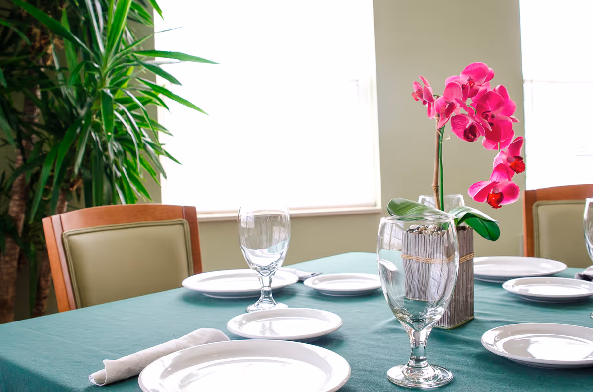 A dining table set with white plates, clear water glasses, and a green tablecloth. A pink orchid in a square wooden vase is placed at the center of the table. There are green cushioned wooden chairs around the table and a large green plant in the background near a window with white blinds.