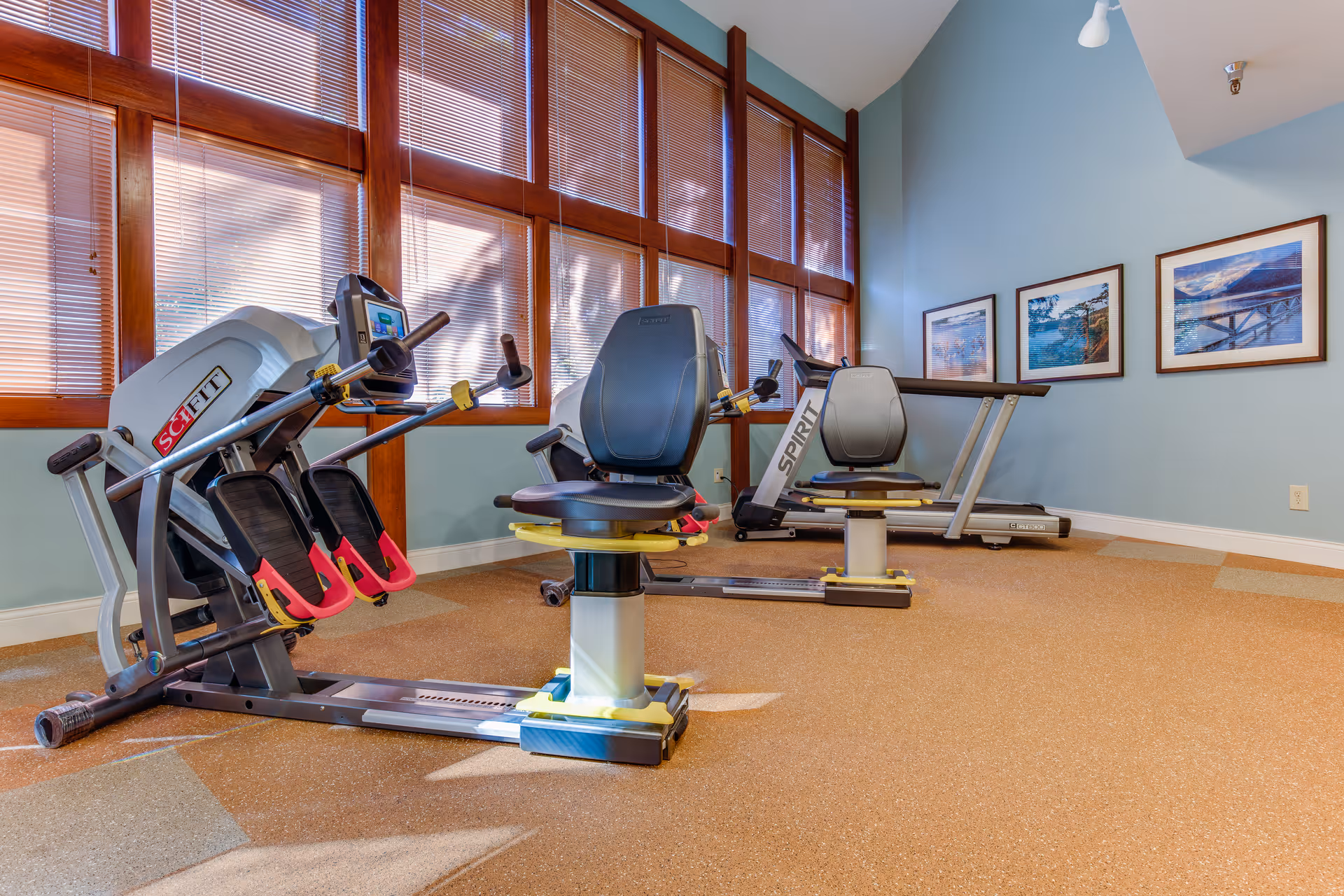 Fitness room with recumbent exercise machines and a treadmill in front of large wood-framed windows and framed artwork on a blue wall.