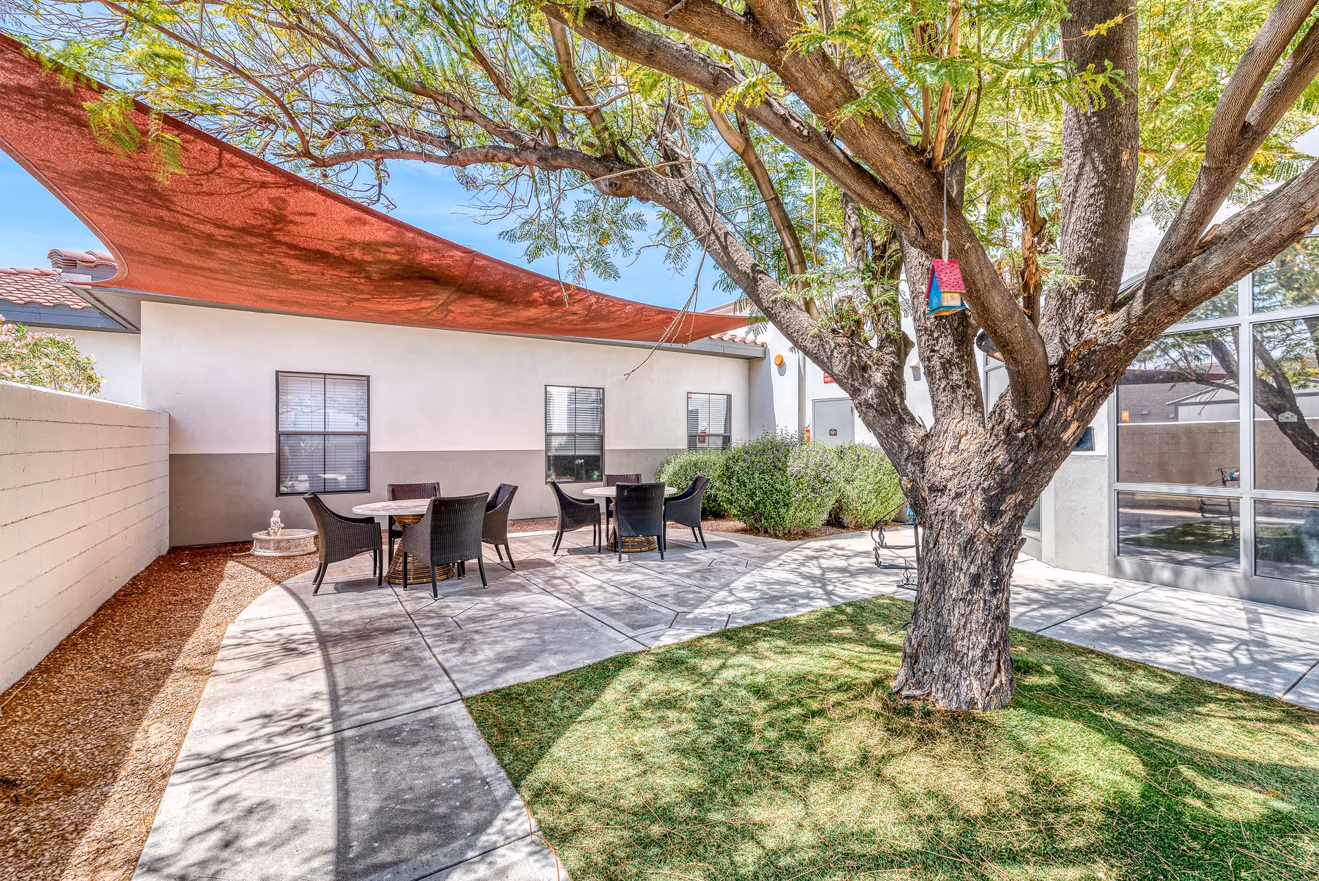 Outdoor patio area with a large tree in the center, surrounded by a concrete walkway and green grass. There are two round tables with black wicker chairs under a red shade sail attached to the building. The building has white walls and several windows, with bushes along the wall.