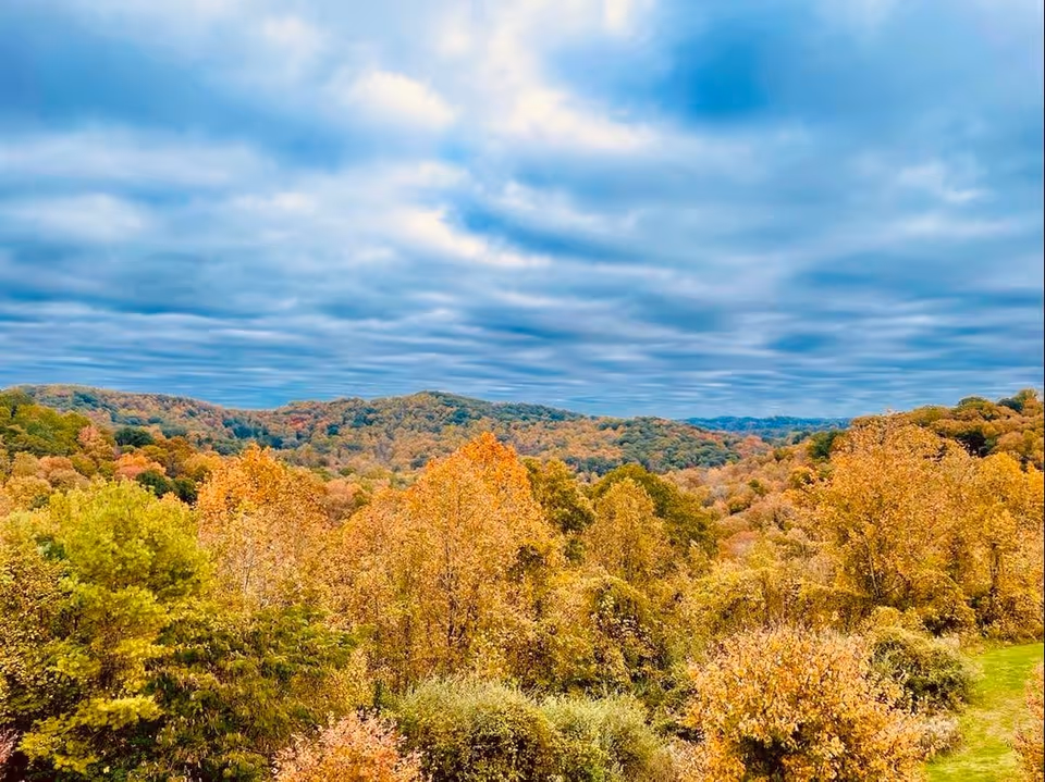 A scenic view of a forested landscape with trees in autumn colors of orange, yellow, and green under a cloudy sky.