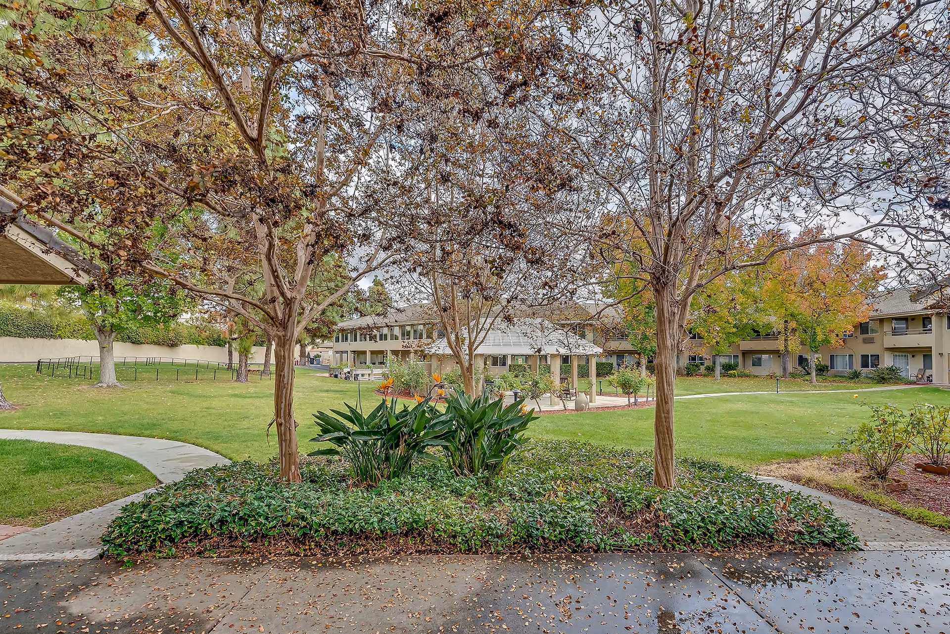 Outdoor view of a senior living facility with a well-maintained lawn, trees with autumn leaves, a paved walkway, and a covered seating area. The building is visible in the background with multiple windows and balconies.