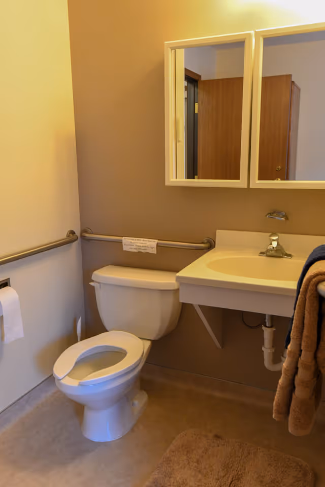 A small bathroom with a white toilet, a wall-mounted sink with a faucet, a mirror cabinet above the sink, grab bars on the walls, a toilet paper holder with a roll of toilet paper, and a brown bath mat on the floor. Towels hang on a rack attached to the sink.