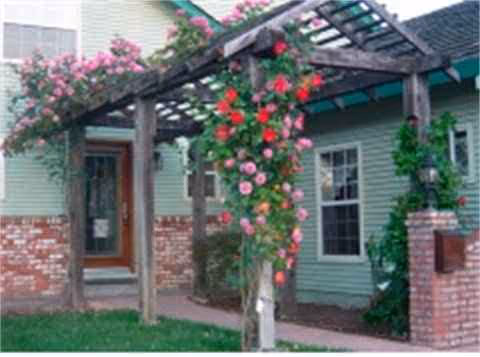 Green building exterior with a wooden pergola and blooming roses at the entrance.