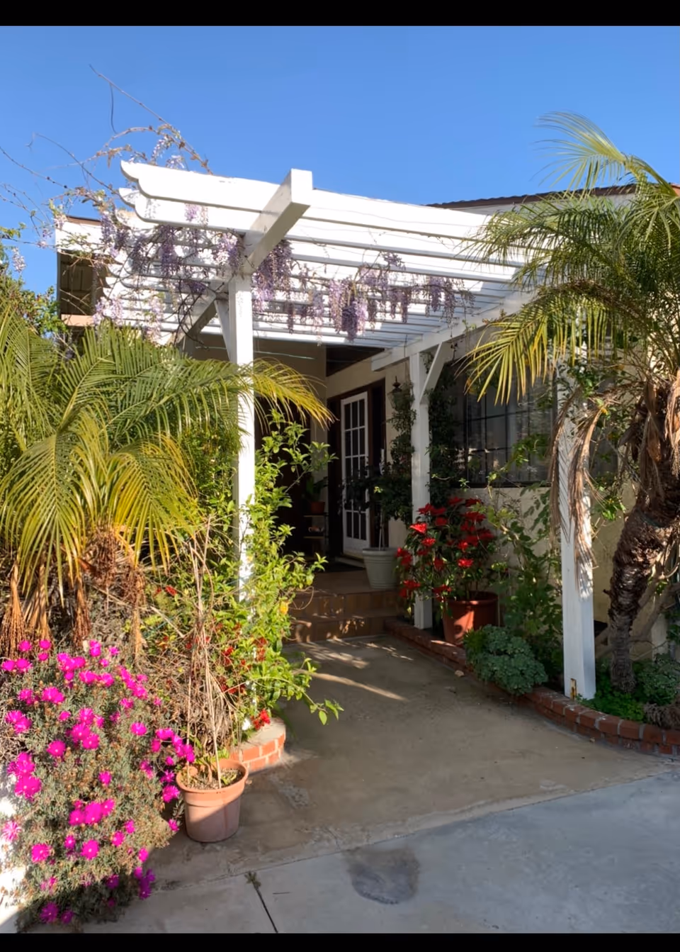 Entrance to a building with a white pergola adorned with hanging purple flowers. The pathway is surrounded by various potted plants and flowers, including palm trees and bright pink and red blooms. The building has a door with glass panels and windows, and the sky is clear and blue.