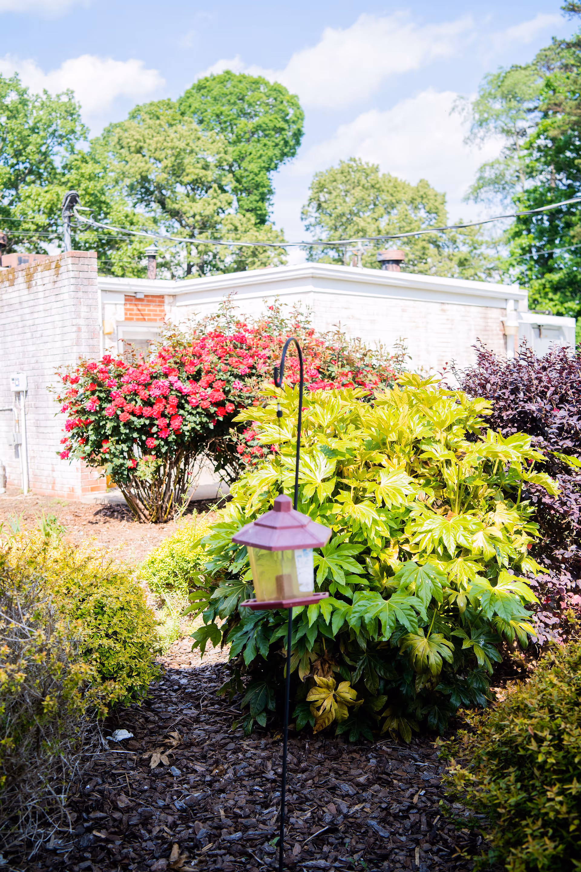 A garden area with various green and flowering bushes, including a prominent bush with red flowers. A small bird feeder with a purple roof is hanging on a black metal hook in the foreground. In the background, there is a white brick building and tall green trees under a partly cloudy blue sky.