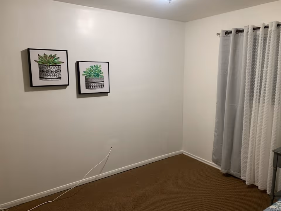 A corner of a room with beige carpet, white walls, and two framed pictures of potted succulent plants hanging on the wall. There is a window with gray and white curtains on the right side and a small gray table partially visible. A white cable is lying on the floor near the wall.