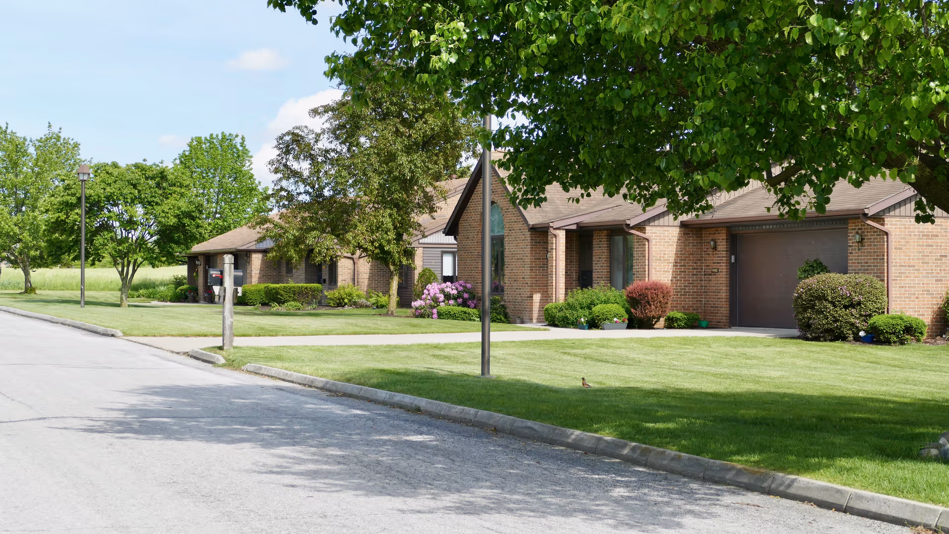 A quiet residential street lined with single-story brick houses featuring well-maintained lawns, bushes, and trees under a clear blue sky.