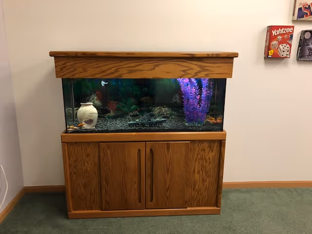 A large rectangular fish tank with colorful decorations including a white vase and purple plants, set on a wooden cabinet with two doors, placed against a white wall with a green carpeted floor. On the wall to the right, there are two board games, Yahtzee and another partially visible game.