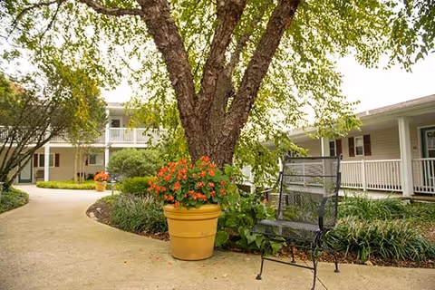Outdoor courtyard area at Glen Meadows Retirement Community featuring a large tree with green leaves, a yellow flower pot with red flowers, a black metal bench, and a paved walkway surrounded by greenery and shrubs. The building with white railings and doors is visible in the background.
