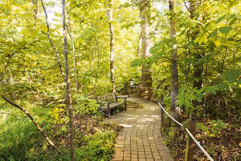 A winding brick pathway through a lush green wooded area with trees and dense foliage on both sides. There are benches along the path for resting and a rope fence lining the right side of the walkway.