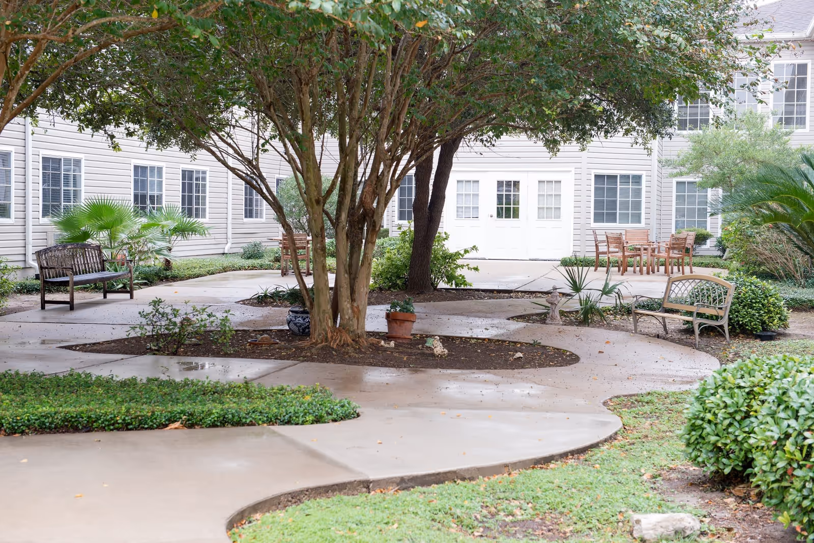Outdoor courtyard area with a large tree in the center surrounded by a curved concrete walkway. Several benches and wooden chairs with tables are placed around the courtyard. The building exterior with multiple windows and white doors is visible in the background. Various shrubs and plants are also present around the walkway.