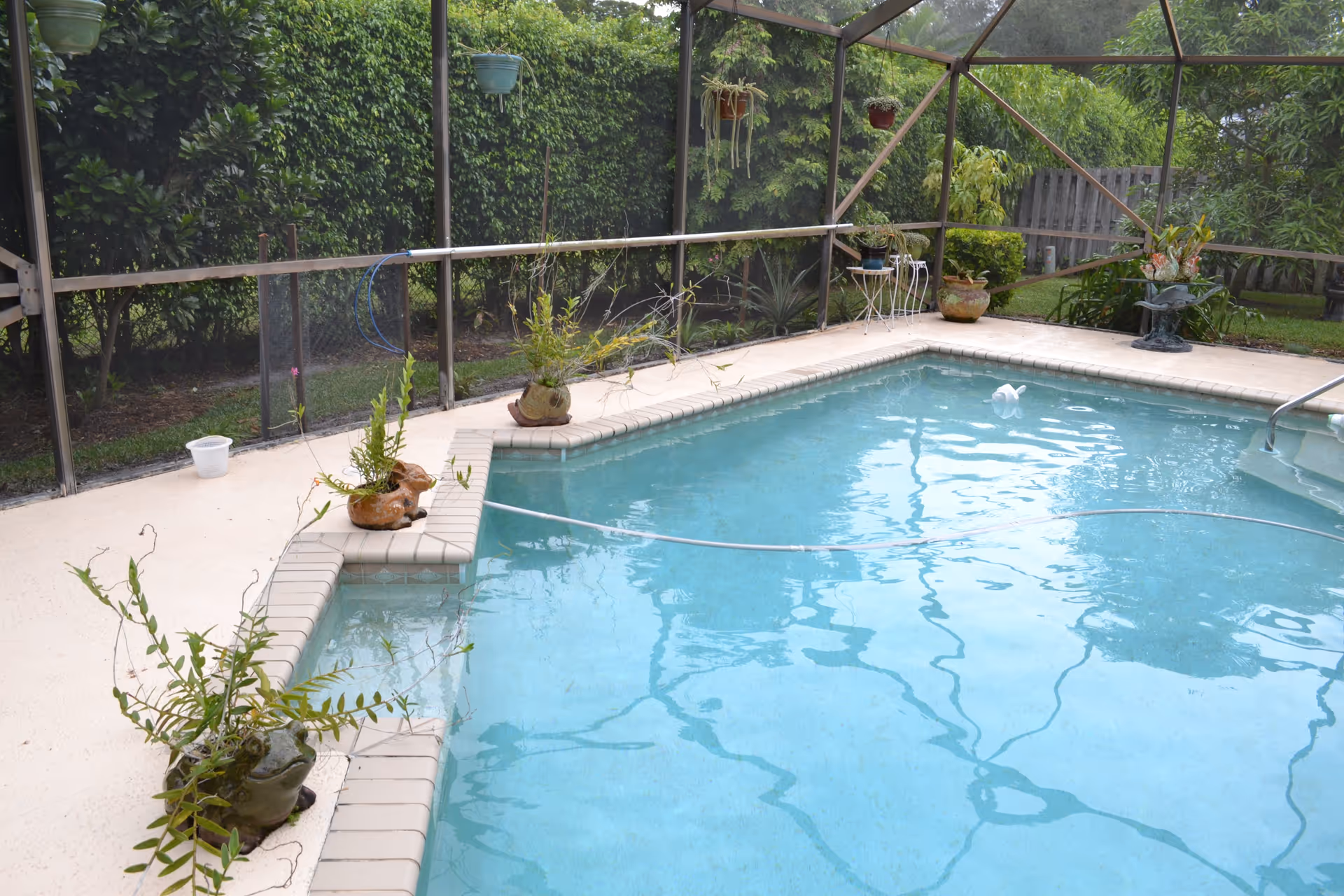A screened-in outdoor swimming pool surrounded by a concrete deck with several potted plants placed along the edge. The pool area is enclosed with a mesh screen and there is greenery visible outside the enclosure.