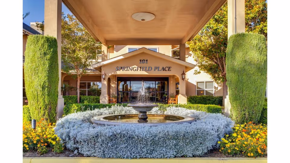 Entrance of Springfield Place senior living facility with a covered driveway, a central water fountain surrounded by silver-gray foliage, neatly trimmed tall green bushes, colorful flowers, and trees on either side.